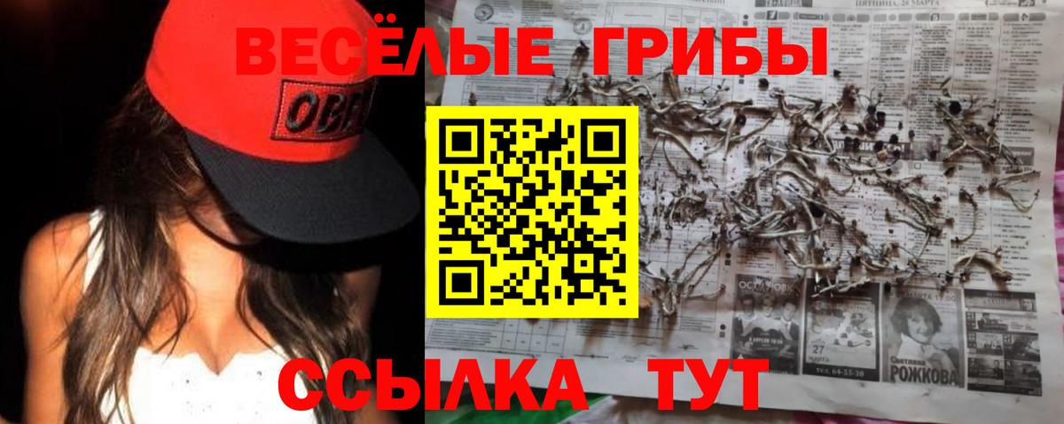 наркота  Псилоцибиновые грибы мицелий  Галлюциногенные грибы MAGIC MUSHROOMS  Вход с VPN  Сланцы 